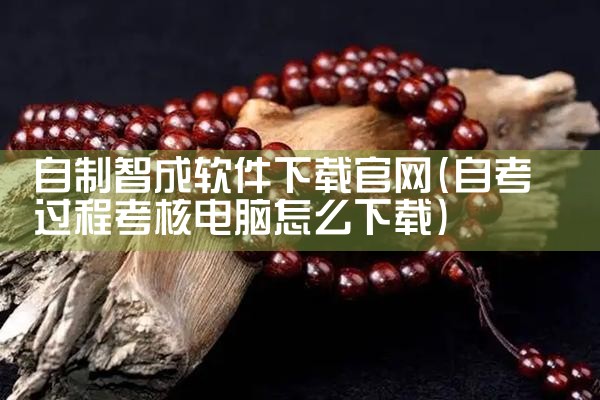 自制智成软件下载官网
