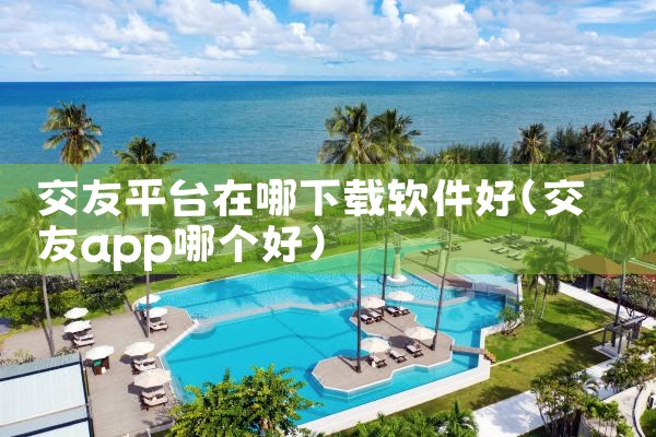 交友平台在哪下载软件好
