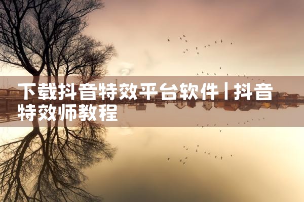 下载抖音特效平台软件